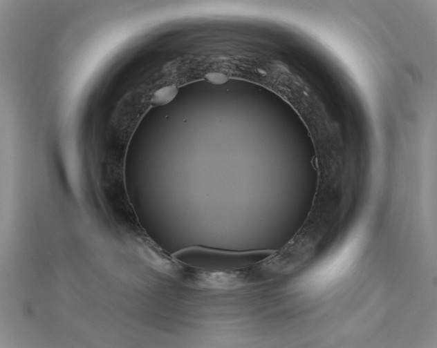 X0000112180239200908071333