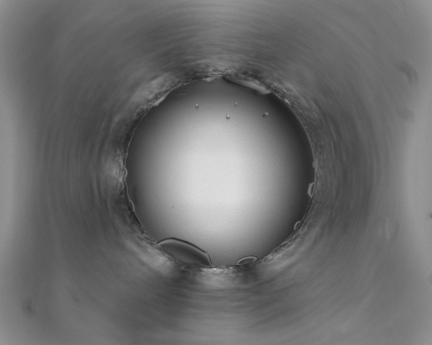 X0000112180240200908071333