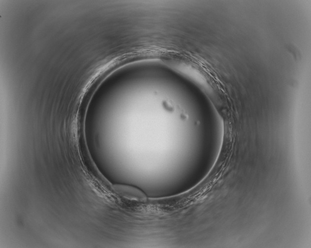 X0000112180244200908071332