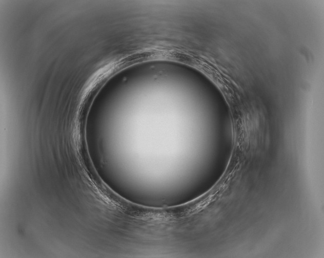 X0000112180245200908071332