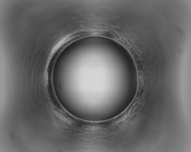 X0000112180246200908071332