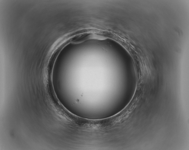 X0000112180247200908071332