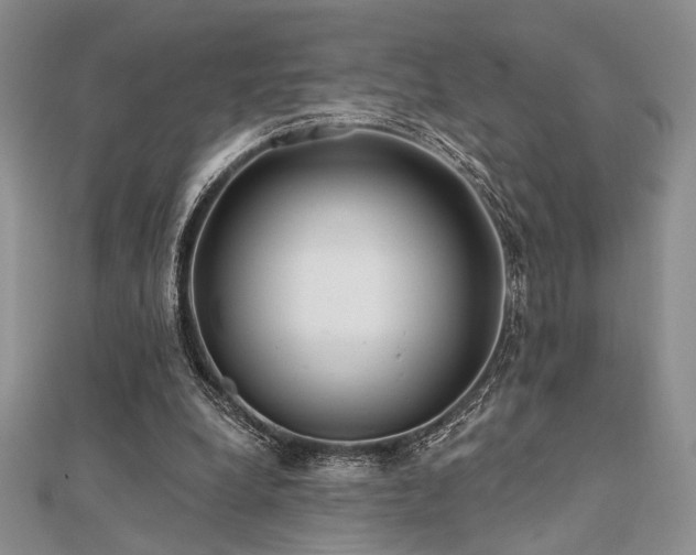 X0000112180248200908071332