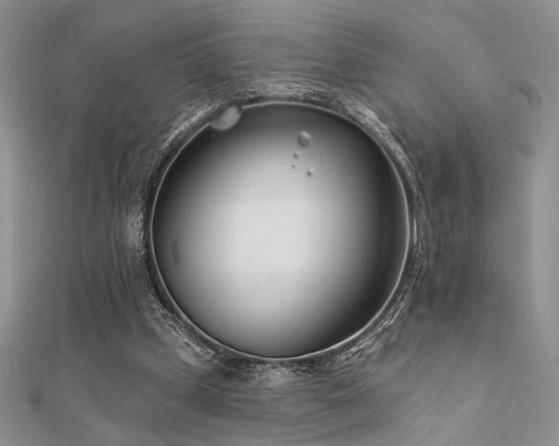 X0000112180249200908071332