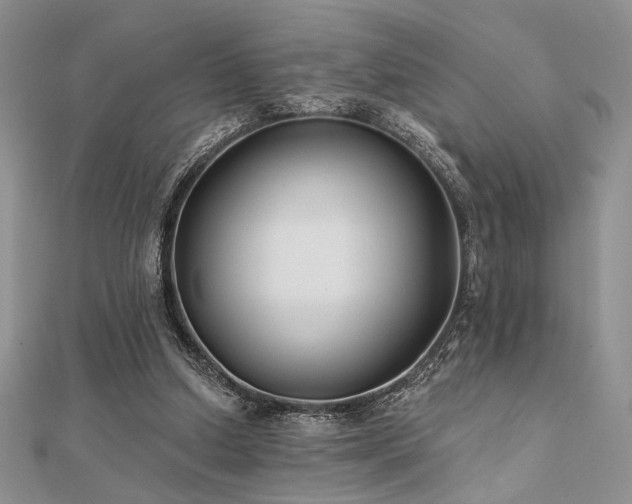 X0000112180250200908071332