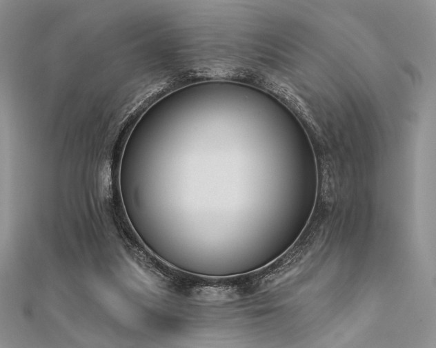 X0000112180251200908071332