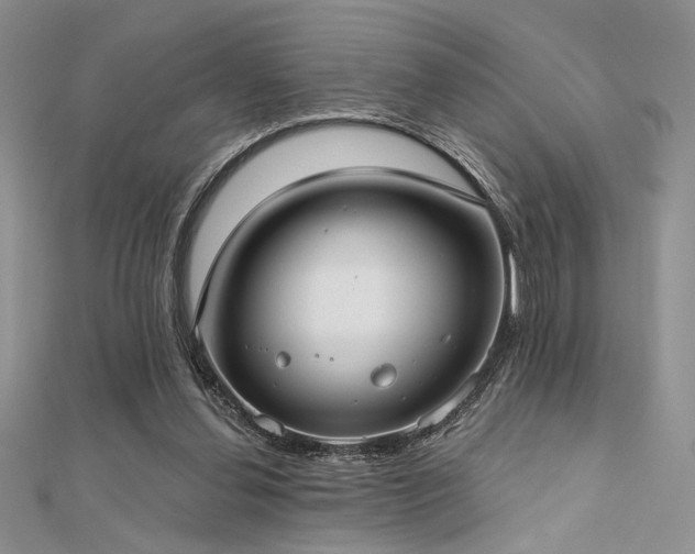 X0000112180252200908071332