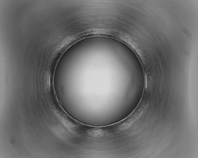 X0000112180253200908071332