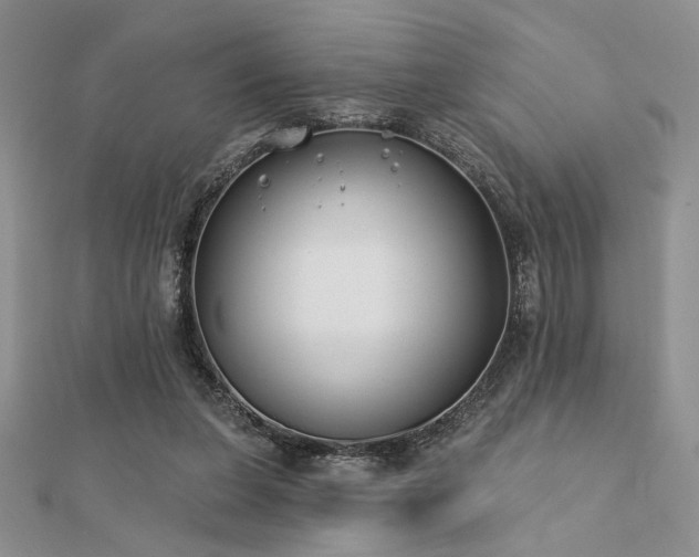 X0000112180255200908071332