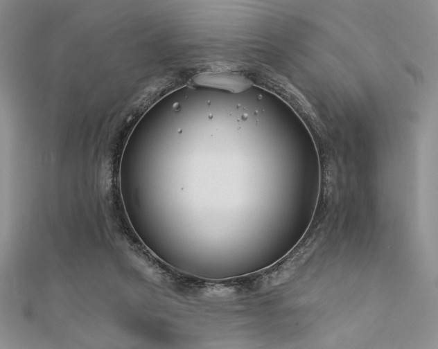 X0000112180257200908071332