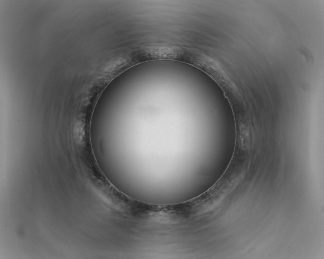 X0000112180259200908071332