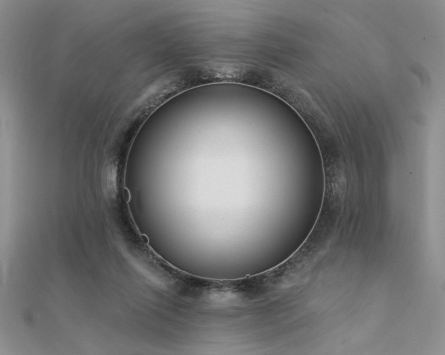 X0000112180262200908071332