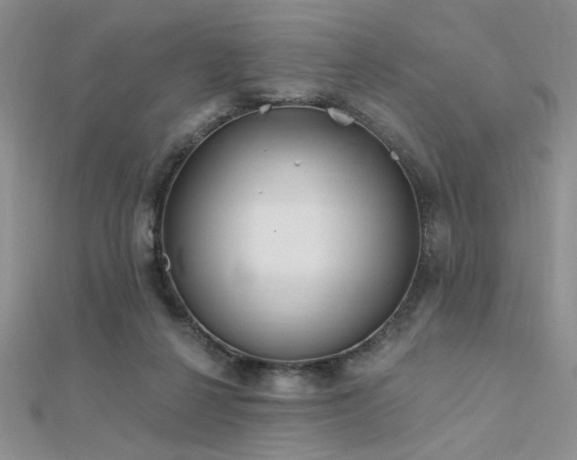 X0000112180264200908071332