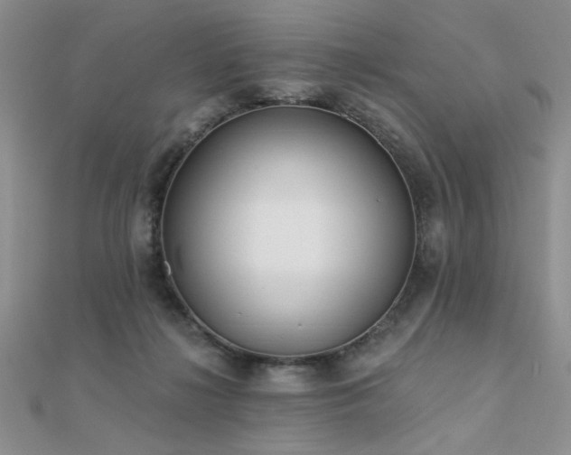 X0000112180268200908071332