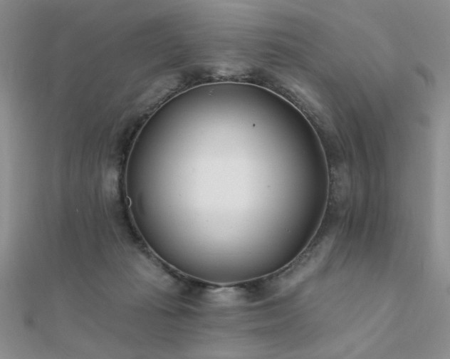 X0000112180269200908071332