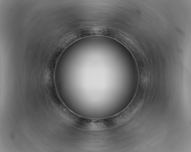 X0000112180270200908071332