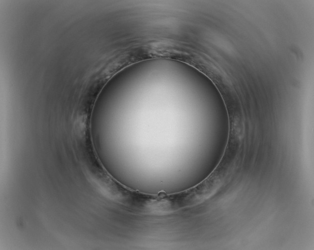 X0000112180271200908071332