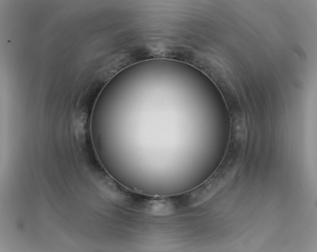 X0000112180275200908071332