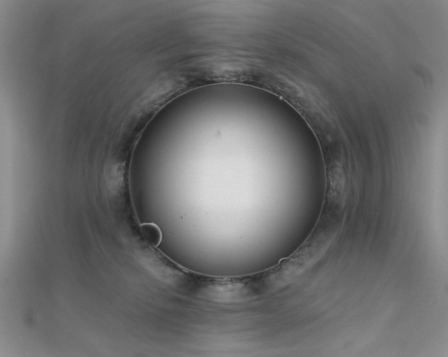 X0000112180278200908071333