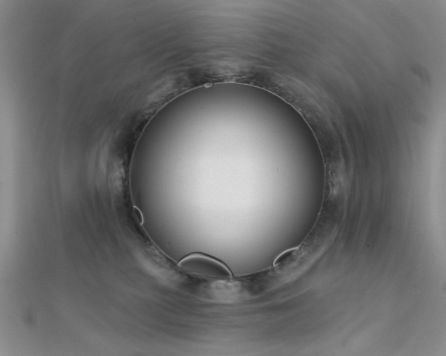 X0000112180279200908071333