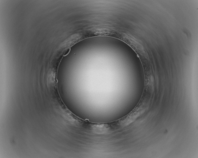 X0000112180281200908071333