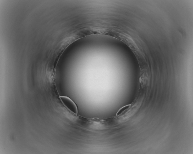 X0000112180285200908071333