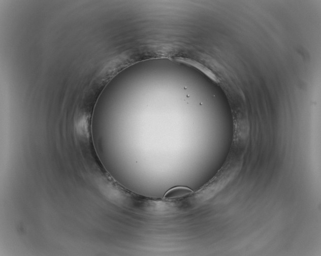 X0000112180286200908071333