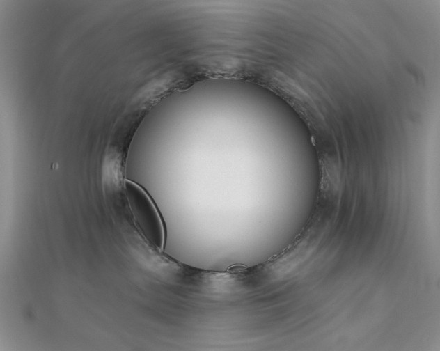 X0000112180287200908071333