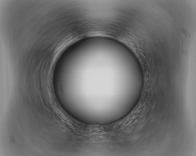 X0000112180289200908071332