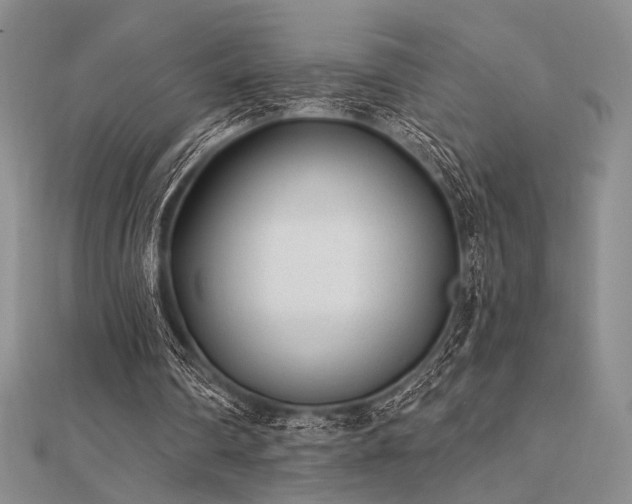 X0000112180290200908071332