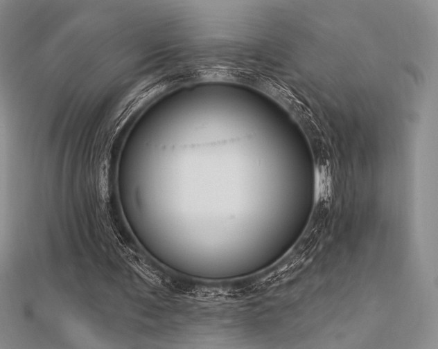 X0000112180291200908071332