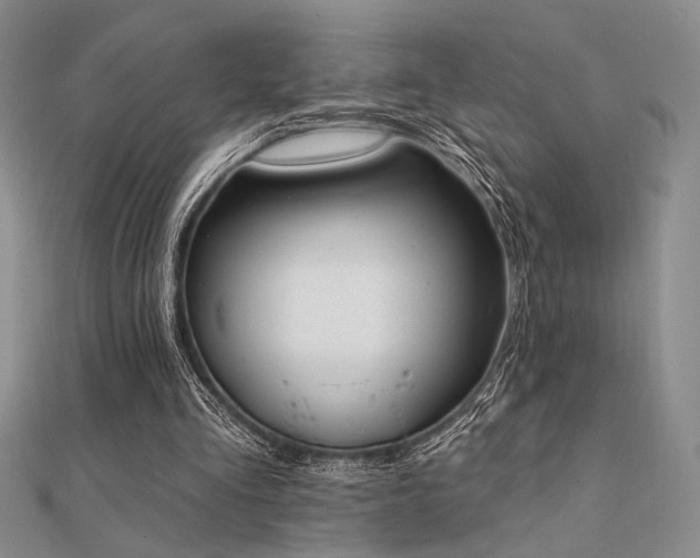 X0000112180293200908071332