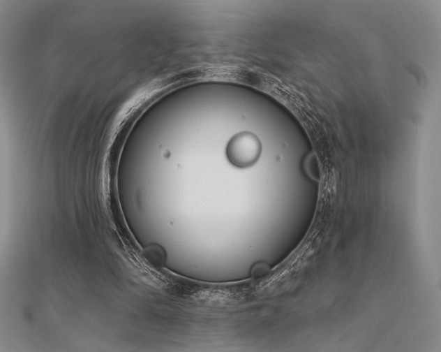 X0000112180294200908071332