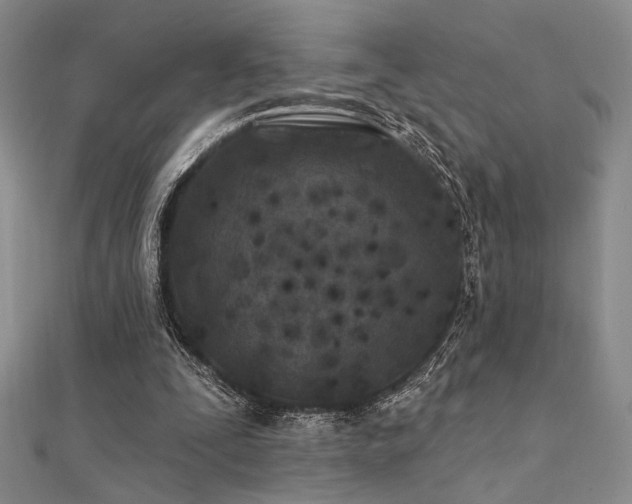 X0000112180295200908071332