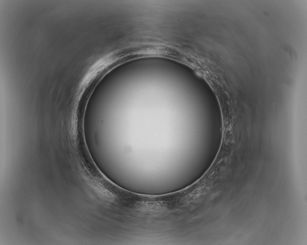 X0000112180296200908071332