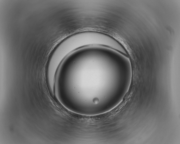 X0000112180297200908071332