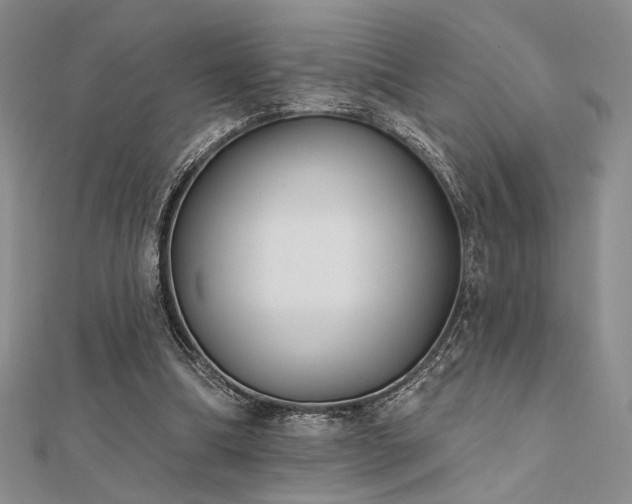 X0000112180298200908071332