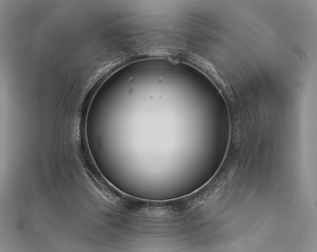 X0000112180299200908071332