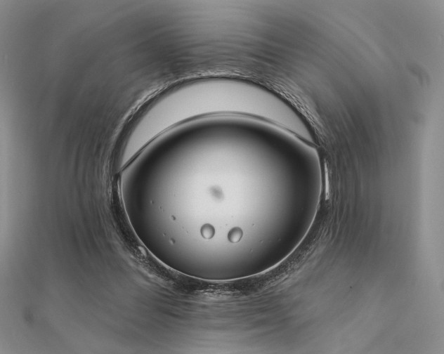 X0000112180300200908071332