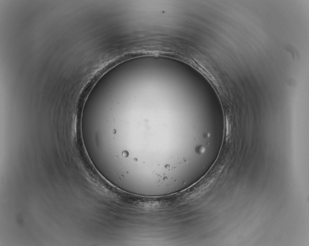 X0000112180301200908071332