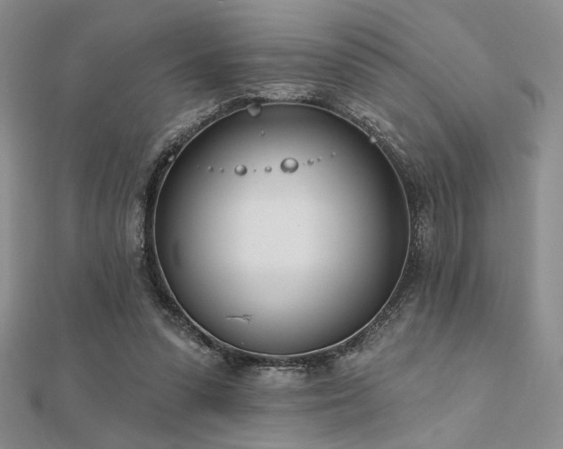 X0000112180303200908071332