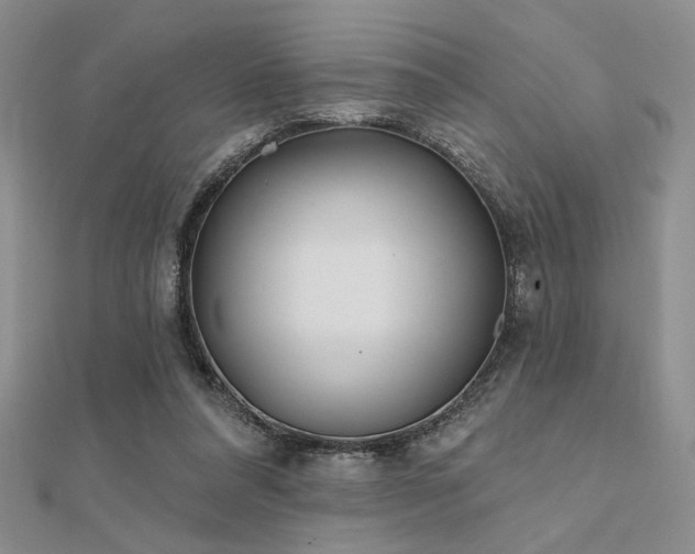 X0000112180304200908071332