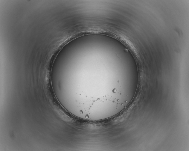 X0000112180305200908071332