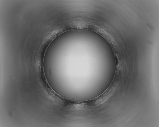 X0000112180306200908071332