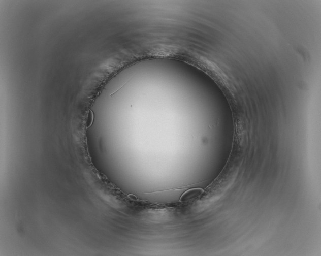 X0000112180307200908071332