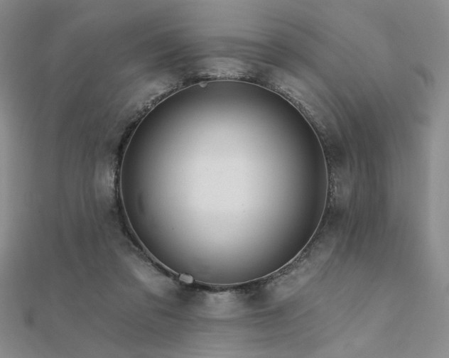 X0000112180309200908071332