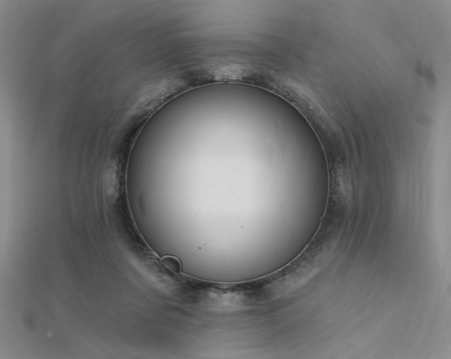 X0000112180311200908071332