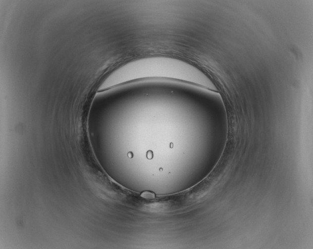 X0000112180312200908071332