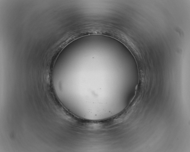 X0000112180313200908071332