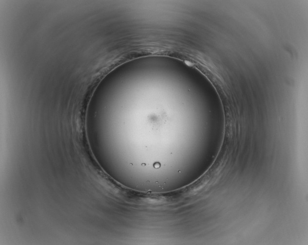 X0000112180317200908071332